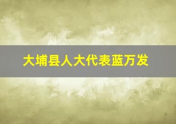 大埔县人大代表蓝万发