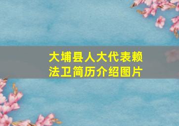 大埔县人大代表赖法卫简历介绍图片