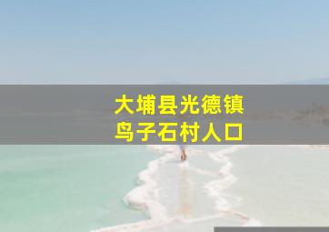 大埔县光德镇鸟子石村人口