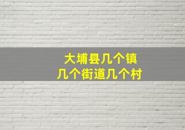 大埔县几个镇几个街道几个村