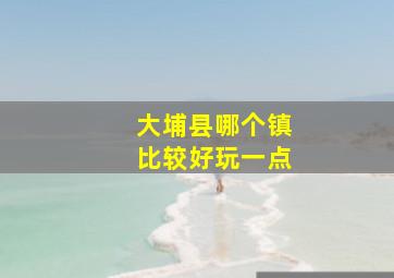 大埔县哪个镇比较好玩一点