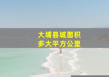 大埔县城面积多大平方公里