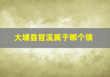 大埔县官溪属于哪个镇