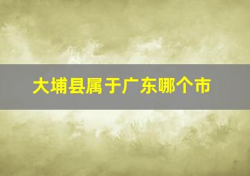 大埔县属于广东哪个市