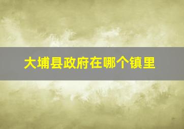 大埔县政府在哪个镇里