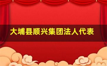 大埔县顺兴集团法人代表