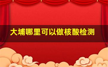 大埔哪里可以做核酸检测