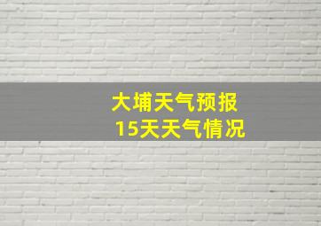 大埔天气预报15天天气情况