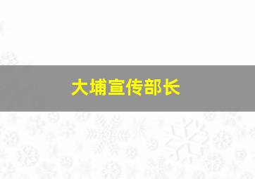 大埔宣传部长