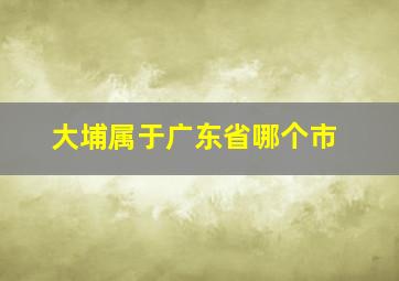 大埔属于广东省哪个市