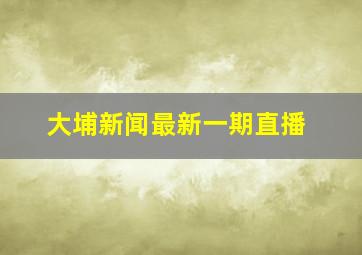 大埔新闻最新一期直播