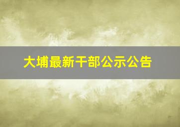 大埔最新干部公示公告