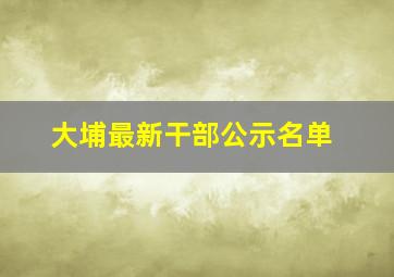 大埔最新干部公示名单