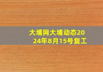 大埔网大埔动态2024年8月15号复工