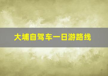 大埔自驾车一日游路线