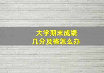 大学期末成绩几分及格怎么办