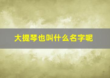 大提琴也叫什么名字呢