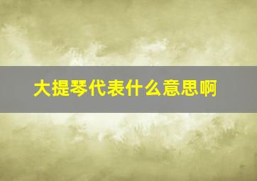 大提琴代表什么意思啊