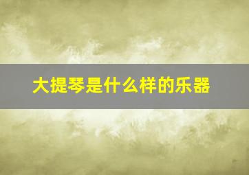 大提琴是什么样的乐器