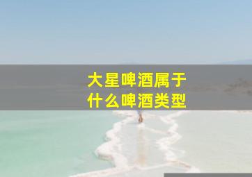 大星啤酒属于什么啤酒类型