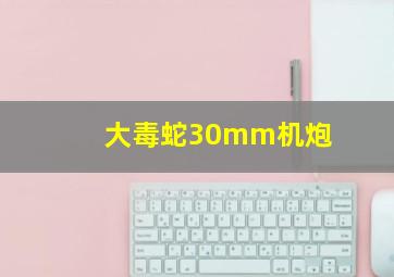 大毒蛇30mm机炮