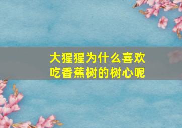 大猩猩为什么喜欢吃香蕉树的树心呢