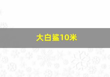 大白鲨10米