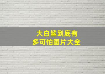 大白鲨到底有多可怕图片大全