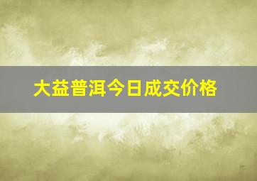 大益普洱今日成交价格