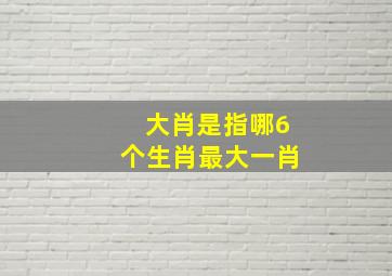 大肖是指哪6个生肖最大一肖