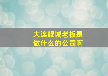 大连鲲城老板是做什么的公司啊