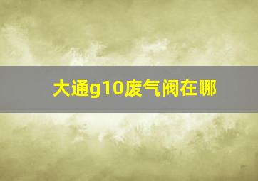 大通g10废气阀在哪