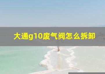 大通g10废气阀怎么拆卸