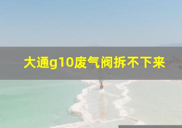 大通g10废气阀拆不下来