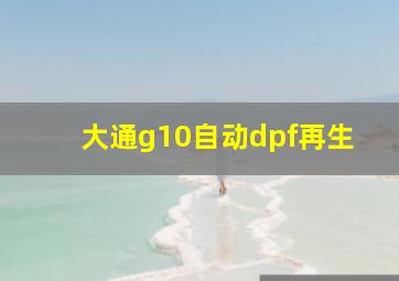 大通g10自动dpf再生