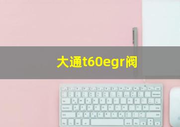 大通t60egr阀