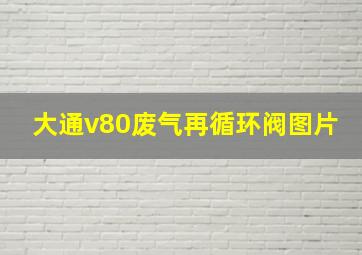 大通v80废气再循环阀图片