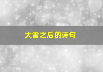 大雪之后的诗句