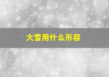 大雪用什么形容