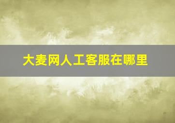 大麦网人工客服在哪里