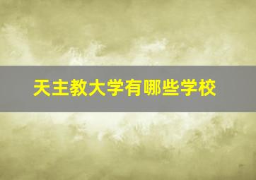 天主教大学有哪些学校