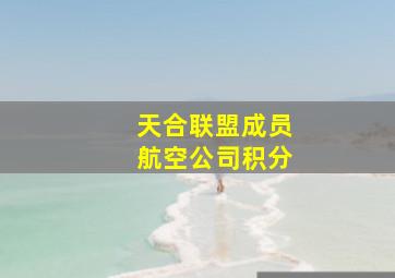 天合联盟成员航空公司积分