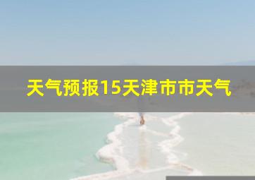 天气预报15天津市市天气