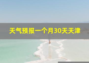 天气预报一个月30天天津