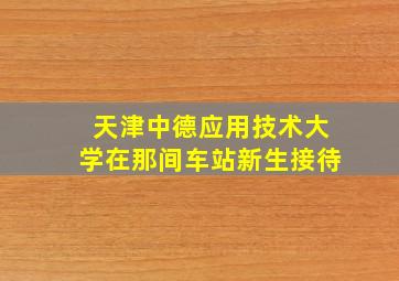 天津中德应用技术大学在那间车站新生接待