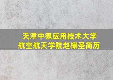 天津中德应用技术大学航空航天学院赵棣圣简历