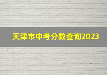 天津市中考分数查询2023