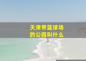 天津带篮球场的公园叫什么