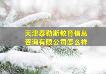 天津泰勒斯教育信息咨询有限公司怎么样