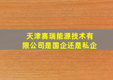 天津赛瑞能源技术有限公司是国企还是私企